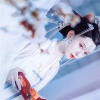 经典天影奇缘手游下载