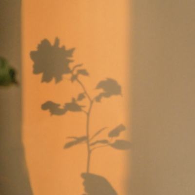 潜江千分手机版下载