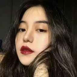 开荒当岛主齿轮发条下载